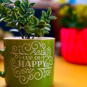 Small Planter Made from Upcycled Opalhouse Mug